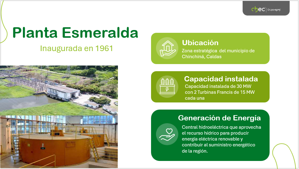 Planta Sancancio