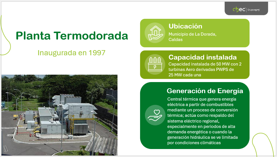 Planta Sancancio
