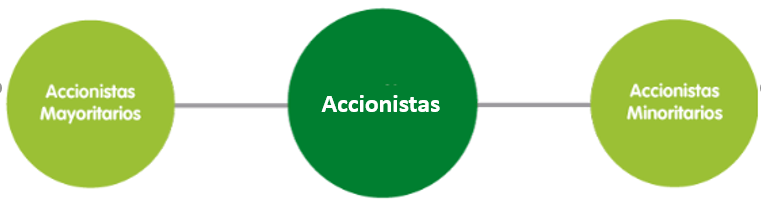 accionistas