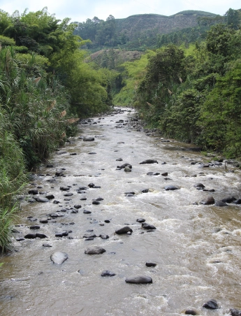 Rio Chinchina